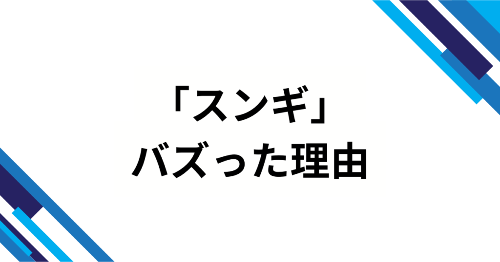 「スンギ」元ネタとは？「〜すぎ」が崩れて生まれたネットスラングの正体を解説_理由01
