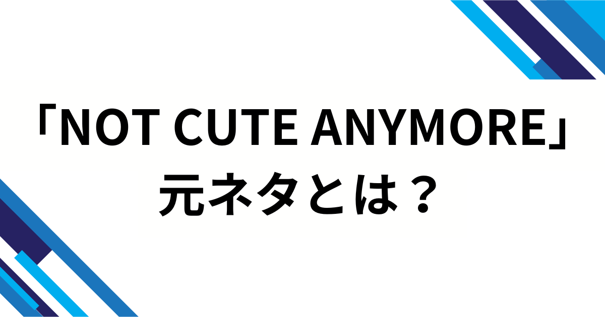 「NOT CUTE ANYMORE」元ネタとは？ILLITが示した“可愛い”のその先と楽曲に込めた意味を徹底解説_01